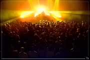 NIK_30304 Panda Dub 04-11-2016 Zz (p)